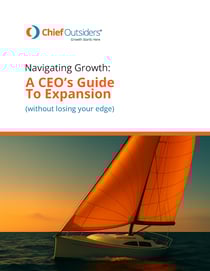 Pages from eBookNavigatingGrowthACEOsGuideExpansion_071625