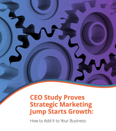 ceo-study-growth-gears